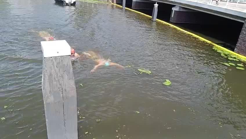 Swim-in Leiden — video 6